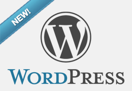 Wordpress Plugin